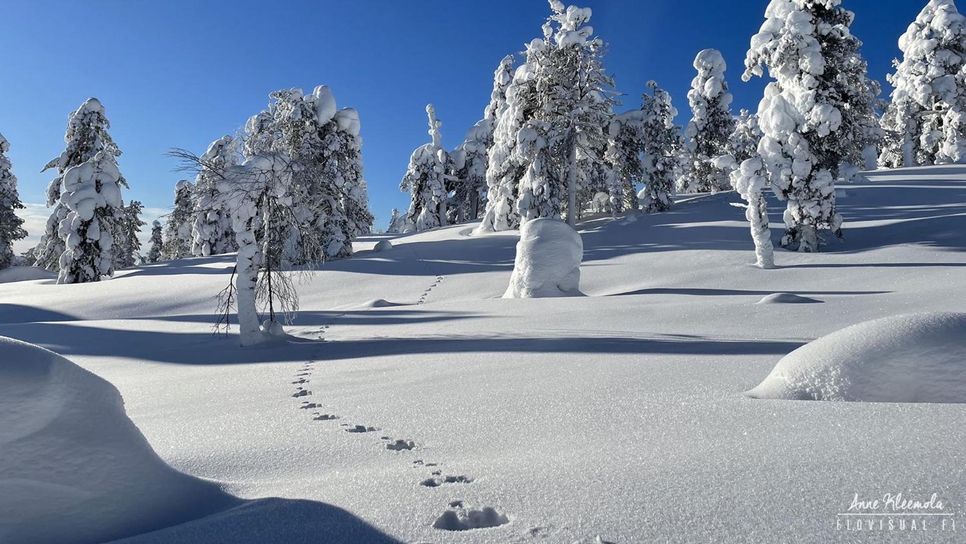 Milis Chalet Ylläsjärvi Екстериор снимка
